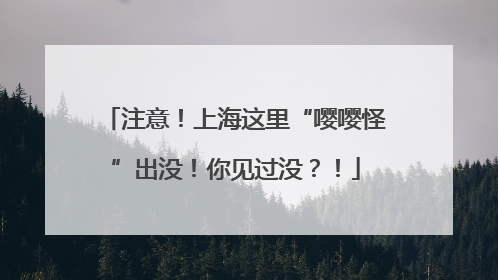 注意！上海这里“嘤嘤怪”出没！你见过没？！