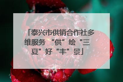 泰兴市供销合作社多维服务 “供”绘“三夏”好“丰”景