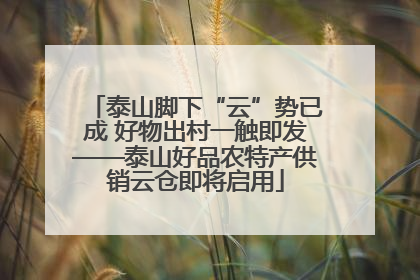 泰山脚下“云”势已成 好物出村一触即发——泰山好品农特产供销云仓即将启用