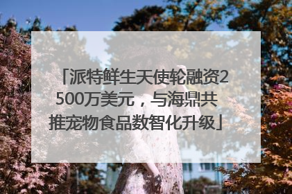 派特鲜生天使轮融资2500万美元，与海鼎共推宠物食品数智化升级