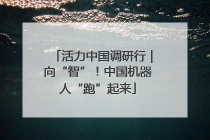 活力中国调研行｜向“智”！中国机器人“跑”起来