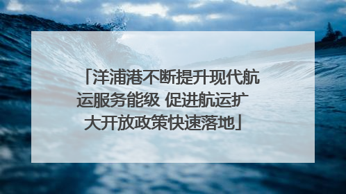 洋浦港不断提升现代航运服务能级 促进航运扩大开放政策快速落地