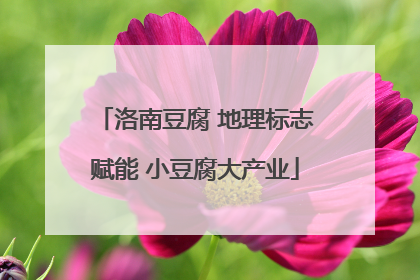 洛南豆腐 地理标志赋能 小豆腐大产业