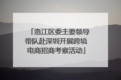 洛江区委主要领导带队赴深圳开展跨境电商招商考察活动