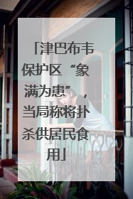 津巴布韦保护区“象满为患”，当局称将扑杀供居民食用