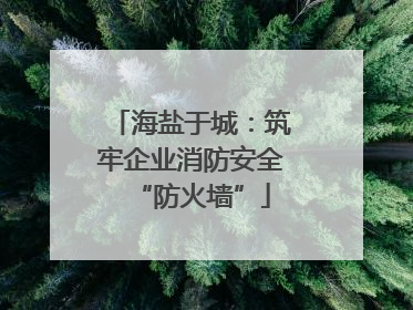 海盐于城：筑牢企业消防安全“防火墙”