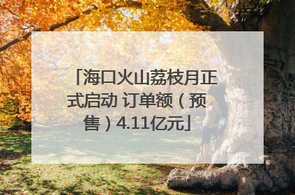 海口火山荔枝月正式启动 订单额（预售）4.11亿元