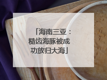 海南三亚：糙齿海豚被成功放归大海