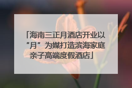 海南三正月酒店开业以“月”为媒打造滨海家庭亲子高端度假酒店