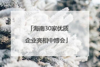 海南30家优质企业亮相中博会