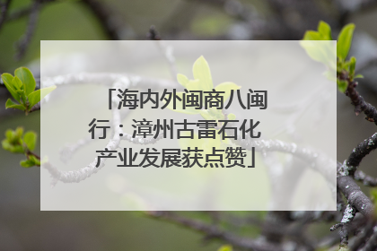 海内外闽商八闽行：漳州古雷石化产业发展获点赞