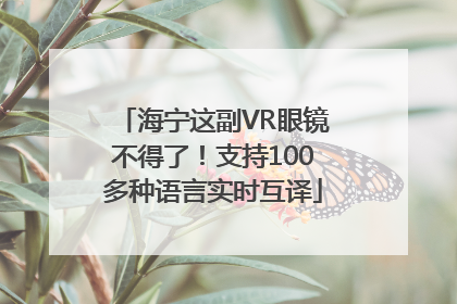 海宁这副VR眼镜不得了！支持100多种语言实时互译