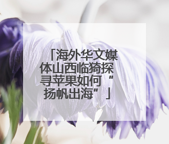 海外华文媒体山西临猗探寻苹果如何“扬帆出海”