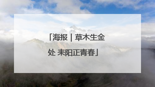 海报｜草木生金处 耒阳正青春