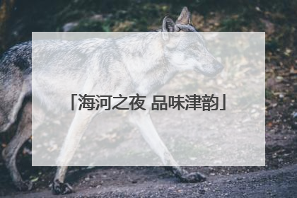海河之夜 品味津韵