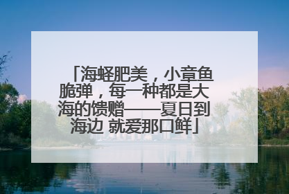 海蛏肥美，小章鱼脆弹，每一种都是大海的馈赠——夏日到海边 就爱那口鲜