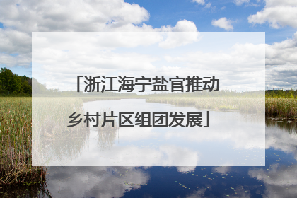 浙江海宁盐官推动乡村片区组团发展