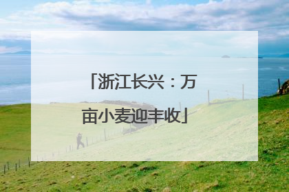 浙江长兴：万亩小麦迎丰收