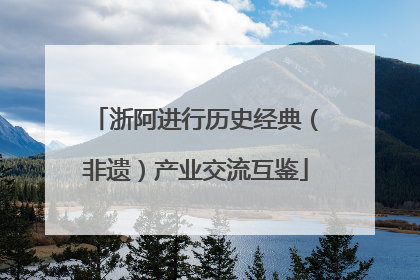 浙阿进行历史经典（非遗）产业交流互鉴