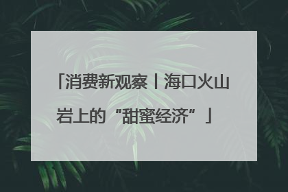 消费新观察丨海口火山岩上的“甜蜜经济”