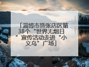 淄博市暨张店区第38个“世界无烟日”宣传活动走进“小义乌”广场