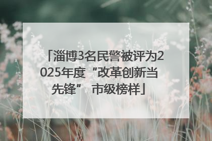 淄博3名民警被评为2025年度“改革创新当先锋” 市级榜样