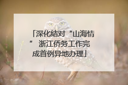 深化结对“山海情” 浙江侨务工作完成首例异地办理