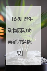 深圳野生动物园动物尝鲜洋蒲桃果