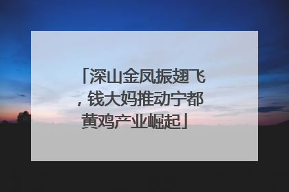 深山金凤振翅飞，钱大妈推动宁都黄鸡产业崛起