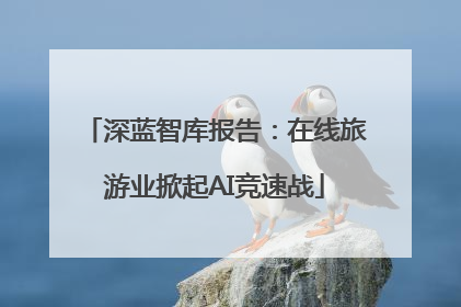 深蓝智库报告：在线旅游业掀起AI竞速战