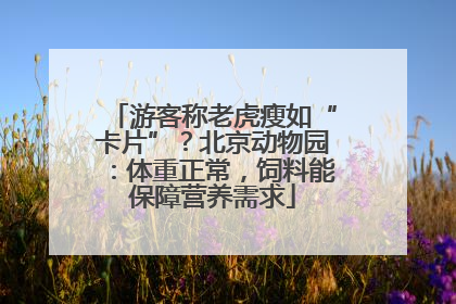 游客称老虎瘦如“卡片”？北京动物园：体重正常，饲料能保障营养需求