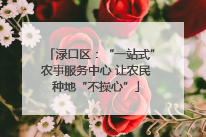 渌口区：“一站式”农事服务中心 让农民种地“不操心”
