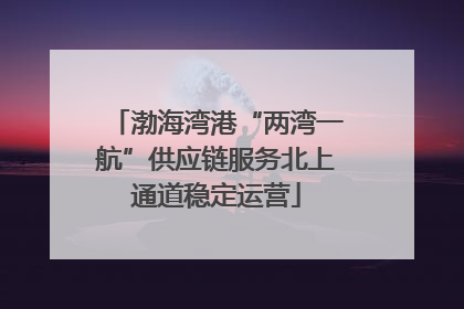 渤海湾港“两湾一航”供应链服务北上通道稳定运营