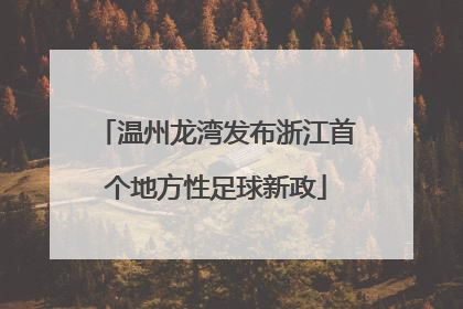 温州龙湾发布浙江首个地方性足球新政