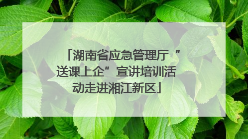 湖南省应急管理厅“送课上企”宣讲培训活动走进湘江新区