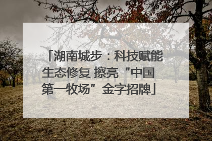 湖南城步：科技赋能生态修复 擦亮“中国第一牧场”金字招牌