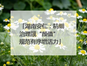湖南安仁：精细治理靓“颜值” 规范有序增活力