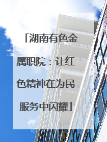 湖南有色金属职院：让红色精神在为民服务中闪耀
