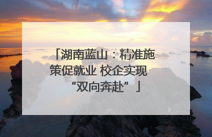 湖南蓝山：精准施策促就业 校企实现“双向奔赴”