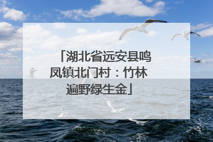 湖北省远安县鸣凤镇北门村：竹林遍野绿生金