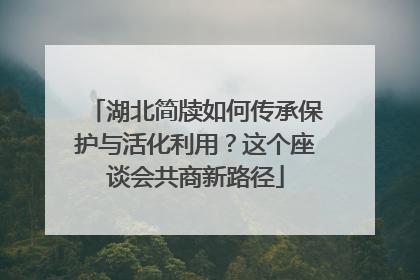 湖北简牍如何传承保护与活化利用？这个座谈会共商新路径