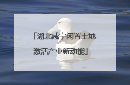 湖北咸宁闲置土地激活产业新动能