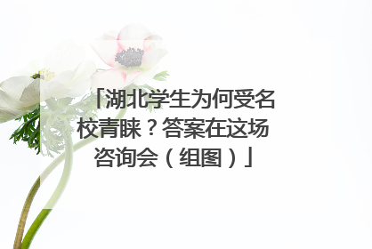 湖北学生为何受名校青睐？答案在这场咨询会（组图）