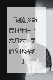 湖潮乡新民村举行“六月六”民俗文化活动