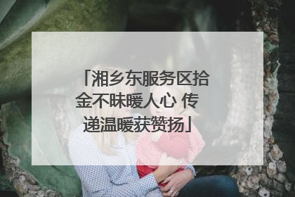 湘乡东服务区拾金不昧暖人心 传递温暖获赞扬