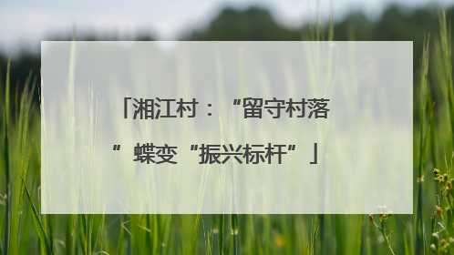 湘江村：“留守村落”蝶变“振兴标杆”