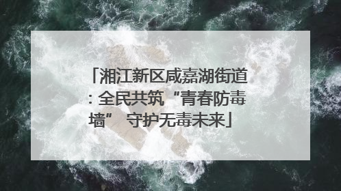 湘江新区咸嘉湖街道：全民共筑“青春防毒墙” 守护无毒未来