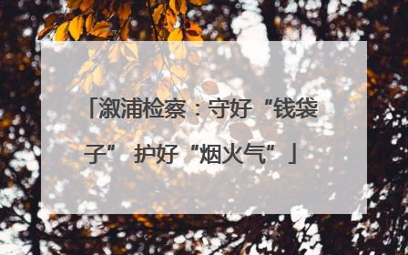 溆浦检察：守好“钱袋子” 护好“烟火气”