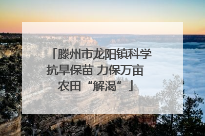 滕州市龙阳镇科学抗旱保苗 力保万亩农田“解渴”