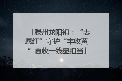 滕州龙阳镇：“志愿红”守护“丰收黄”夏收一线显担当